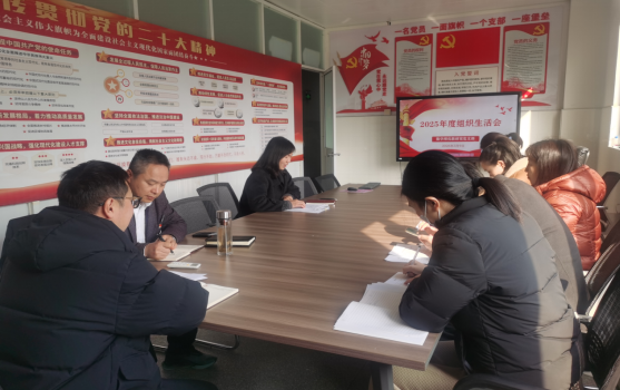 数学理化教研室党支部顺利召开2025年度组织生活会